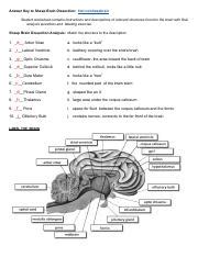 Sheep brain dissection guide answer key. - Ma grand-me  re christine de pizan..