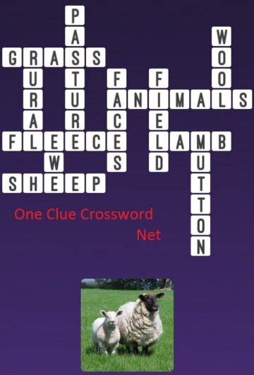 Other crossword clues with similar answers to 'Female sheep'. "Concentration" pronoun. "You," in a rebus puzzle. A film star appears when this creature visits Massachusetts Street. A shepherd shepherds it. Animal covered in wee-wee.