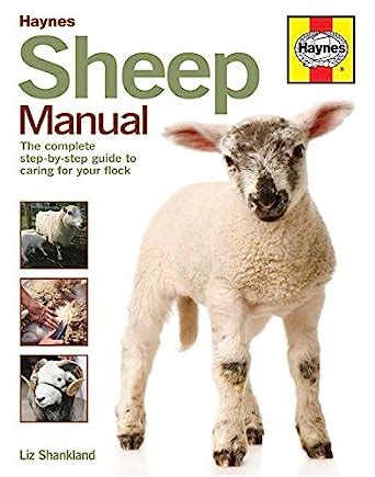 Sheep manual the complete step by step guide to caring. - Engineering your future an australian guide.