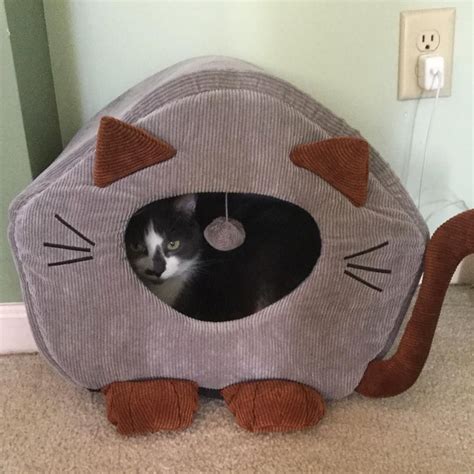 😈 Sheerprincess Leaks [CLIP]