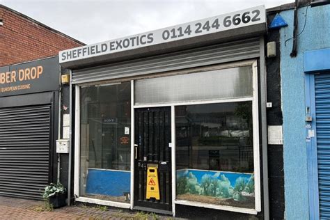 Sheffield Exotics & Pet Supplies - Yelp