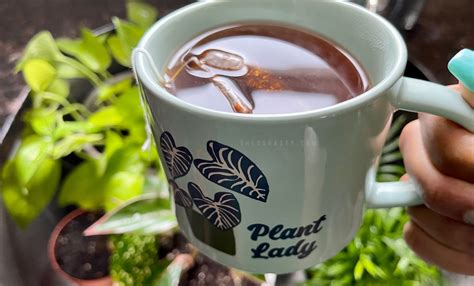 Shegonasty  Leaks XxX 🍑