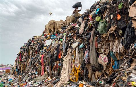 Shein pollution. The fashion industry is the second biggest polluter in the world, and fast fashion brands - like Shein - are a key part of that pollution. See more 