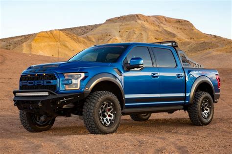 Shelby raptor. Things To Know About Shelby raptor. 