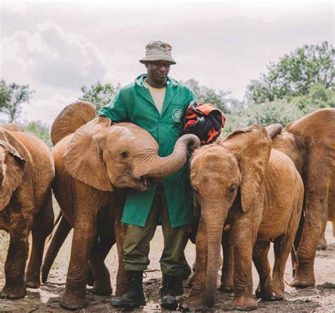 Sheldrick wildlife trust. The Sheldrick Wildlife Trust is located in Kenya, East Africa. The Trust's main base, being the location of our elephant orphanage, often referred to as the Nairobi Nursery, is in Nairobi National Park (KWS Central Workshop Gate, also known as the Magadi Gate, on Magadi Road). 