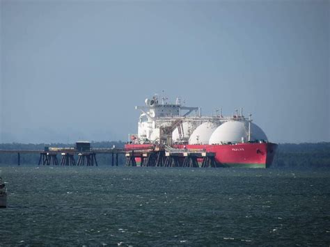 Abasha Xxx - Shell: LNG demand expected to increase by over 50% by 2040