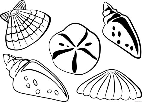 Shell Clip Art Black and White Sea Shell Coloring Pages, Free ...