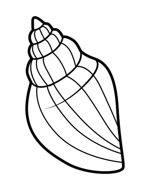 Shell Coloring