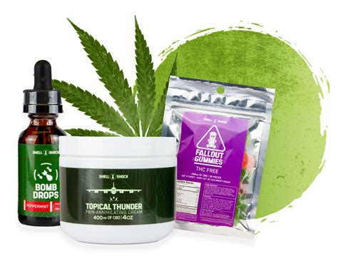 Shell shock cbd. Things To Know About Shell shock cbd. 