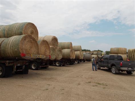 Shellrock hay auction. Tri-State Hay Auction, Waukon, Iowa. 405 likes. Tri-State Hay Auction Lonning Auction Service Hay Auction Every Friday at 12:30PM Former IPLA Auction Grounds Serving the Tri-State Area Since 1989... 