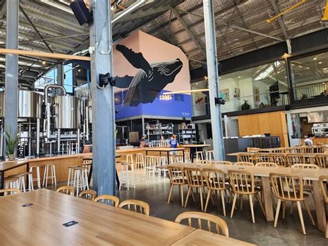 Shelter Brewing Co - Tripadvisor