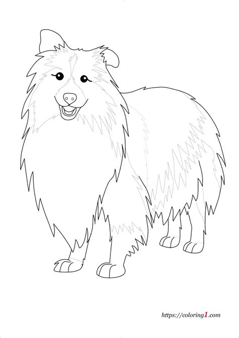 Camaro Coloring Book