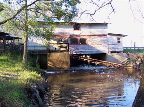 Shepards Millpond (in Gadsden County, FL)