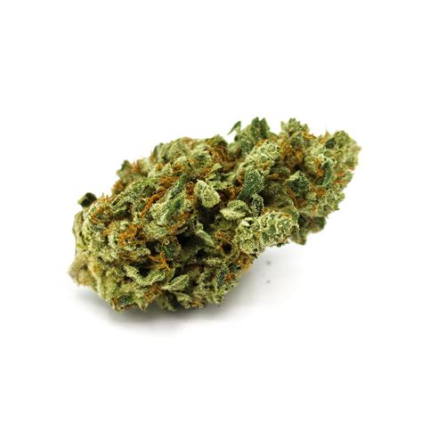 Animal Mints is a hybrid marijuana strain made by crossing Animal Cookies with SinMint Cookies. Animal Mints produces a strong body and head high, making it ideal for after work and evening use.. 
