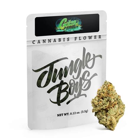 Sherbanger jungle boys. Sherbanger F2 (Reg) NEW & MUST! Availability: Out of stock. Add to Wishlist. Compare. Sherbanger x Sherbanger. 12 Regular Seeds. $ 200.00. Compare. 