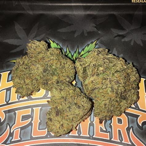 Description Iced Out Genetics Sherbanger Strain, an exceptional cannab
