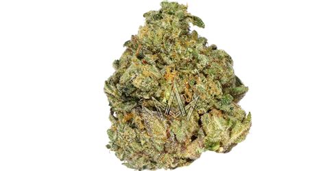 Blue Nerds is a weed strain from SoHum Royal that comb