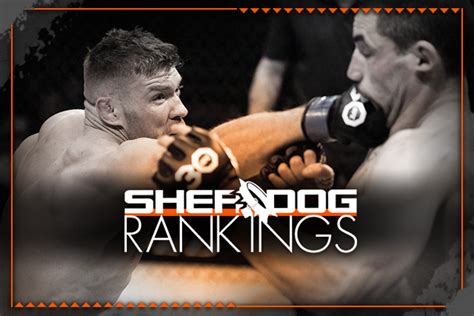 Sherdog.com - Is Sherdog Down Right Now?