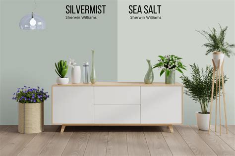 Sherwin williams silvermist vs sea salt. Aug 22, 2021 · Sherwin Williams Sea salt LRV. The RGB values for Sherwin Williams Sea Salt SW6204 are 204, 209, 200 and the HEX code is CCD1C8. The LRV for Sherwin Williams Sea Salt SW6204 is 62.82. The LRV stands for Light Reflectance Value and measures the percentage of light that color reflects. 