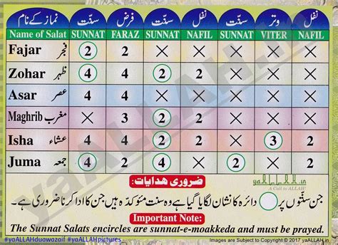 Shia islamic prayer times. Things To Know About Shia islamic prayer times. 