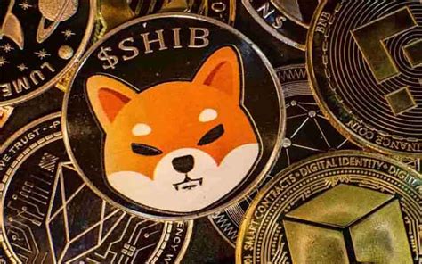 How Much Is Shiba Inu Coin Worth? Accordi