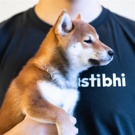 Shiba stockwits. According to DigitalCoinPrice: ‘’ The price of 1 Baby Shiba Inu (BABYSHIBAINU) can roughly be upto $0.0000000034 USD in 1 years time a 2X nearly from the current Baby Shiba Inu price.’’. The current predictions in the crypto market seem to be (mostly) negative about Baby Shiba Inu as many crypto experts believe that the token will see a ... 