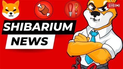 Shibarium update. Things To Know About Shibarium update. 