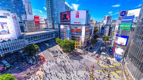 Shibuya city. Spain has a total of 44 cities with at least six major cities that house over 500,000 residents each. Barcelona and Madrid are the two largest cities. Madrid has a population of 3.... 