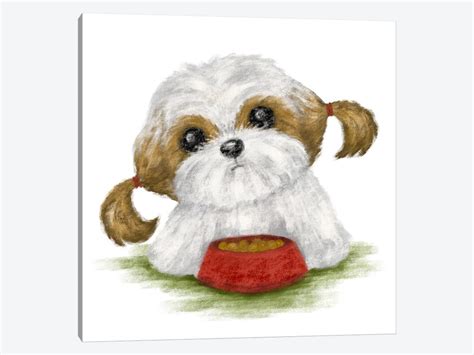 Shih Tzu Eating Art Print by Toru Sanogawa iCanvas