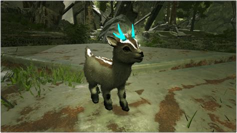 If the stats on the wiki are to be believed, then the bulbdog and shinehorn are the best. For a charge pet, the stats that matter are stamina (capacity), oxygen (regen), and melee (range). All charge pets have the same melee/range except for the featherlight, which is about 25% of the others. Bulbdog has twice the stamina/capacity of the ....