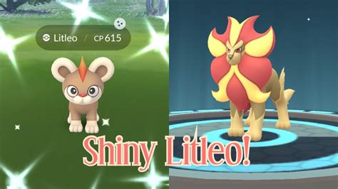 Shiny Litleo - Pokemon Go