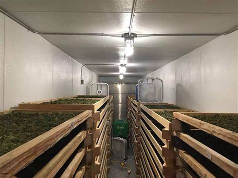 Shipping Container Grow Room Design