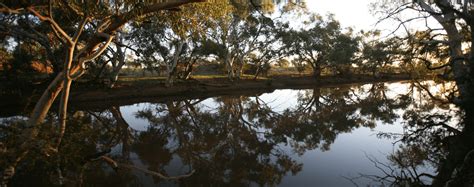 Shire of Wiluna Genealogy Resources & Vital Records Western …