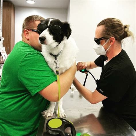 Shively animal clinic & hospital. Working Hours: Mon-Fri: 8am - 6pm. Sat: 8am - 12pm. Sun: Closed. License #2400. Shively Animal Clinic & Hospital PSC - Dixie Animal Hospital - Johnson Animal Clinic, the Top Louisville Veterinary Clinics Handpicked using our proprietary 50-Point inspection. 
