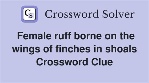 Shoal - Crossword Clue, Answer and Explanation