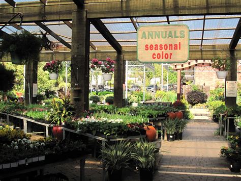 Shoal creek nursery. Shoal Creek Gardens is rooted in family and born of a passion for plants. Located on the banks of the Shoal Creek, this rural greenhouse has everything your garden needs - annuals, perennials, native trees and shrubs, flowers, vegetables - we have it all! Find out more. Find a wide selection of native plants at our plant store. 