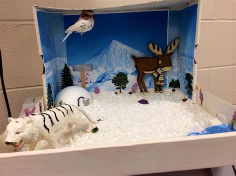 Use this lesson to help students visualize the tundra biome. Materials: writing paper, (or computer access for writing), shoe box (or something similar), glue, construction paper, markers, cotton ...