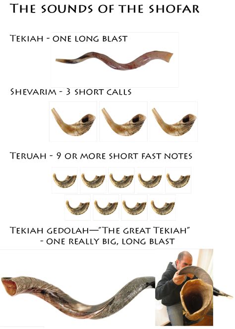 Shofar sound. The shofar we blow on Rosh HaShana is made from a ram's horn. Why is that?... Hearing the sound of the shofar is the single, unique commandment of Rosh HaShana. 