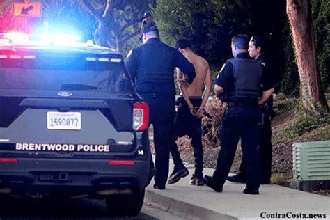 Shooting brentwood. Things To Know About Shooting brentwood. 