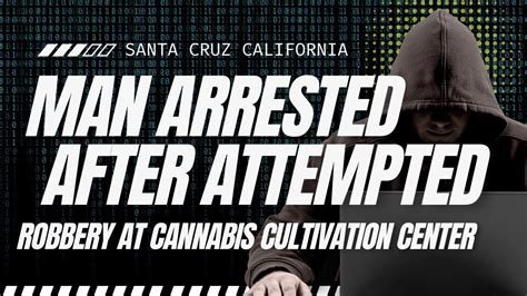 Shootout follows robbery of Santa Cruz cannabis facility