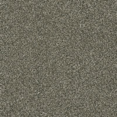 Shop Dream Weaver Brazen II Millstone 6260_197 Carpet