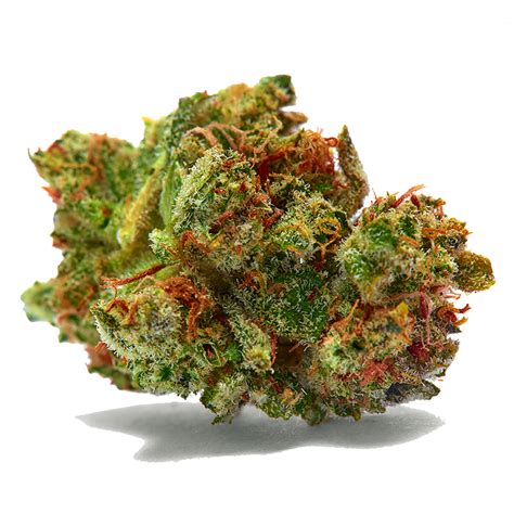 Shop West Coast Sour Diesel Flower Shop Cannabis Online …