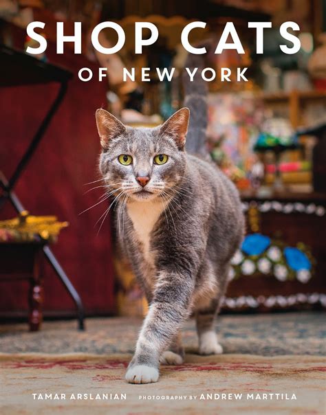 Read Online Shop Cats Of New York By Tamar Arslanian