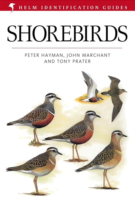 Shorebirds an identification guide to the waders of the world. - Handbook of the freshwater fishes of india.