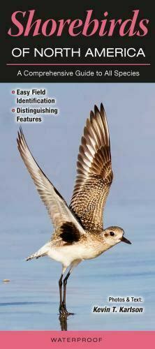 Shorebirds of north america a comprehensive guide to all species. - Realtime 3d rendering with directx and hlsl a practical guide to graphics programming game design.