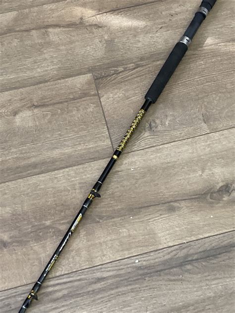 Shoremaster Custom Fishing Rod - sporting goods - by owner - sale