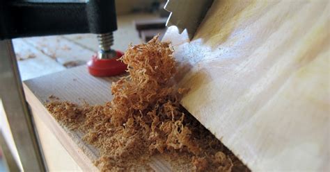 Short And Curlies...Shavings That Is... - Polthaus