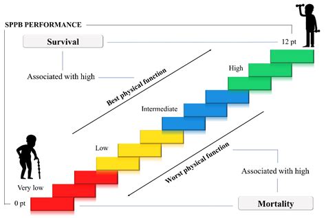 Short Physical Performance Battery - psycnet.apa.org