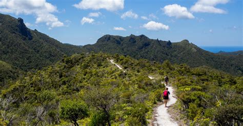 Short Walks - Great Barrier Island