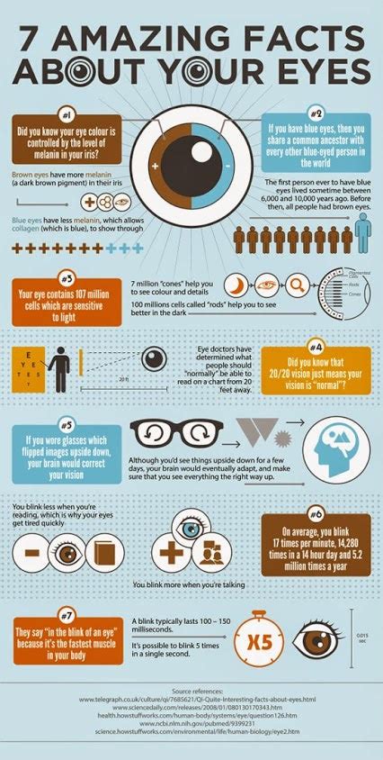 Short and interesting facts about the Human Eye, the Black …